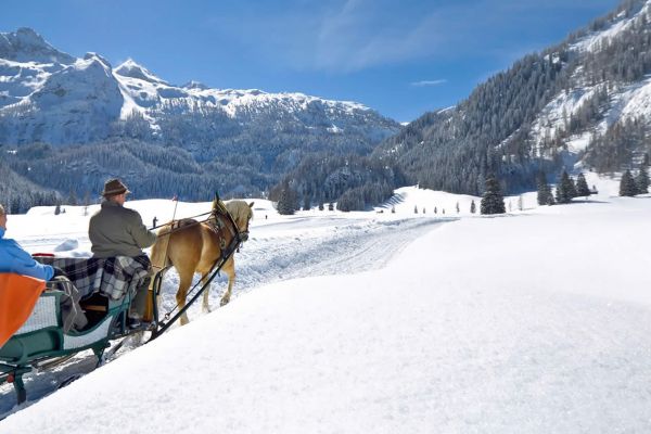 horse drawn sleigh rides hotel almschlössl schrotteralm obertauern